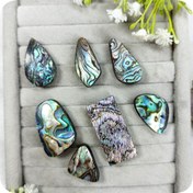 تصویر نگین صدف آبالون 