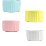 تصویر کاسه ایکیا مینی 