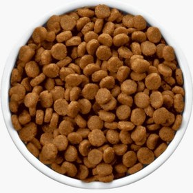 تصویر غذای خشک سگ بالغ مونلو مدل Monello Adult Dog GO BEEF وزن 1 کیلوگرم غذای خشک سگ بالغ مونلو مدل Monello Adult Dog GO BEEF وزن 1 کیلوگرم