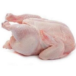 تصویر گوشت مرغ ۱ کیلوگرم 