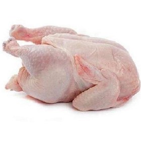 تصویر گوشت مرغ ۱ کیلوگرم 