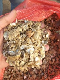 تصویر پوست بادام زمینی خرد شده - بسته 3 لیتری