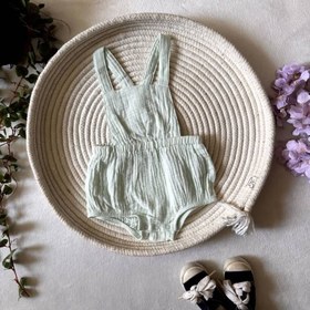 تصویر پیش سینه دار رنگی 