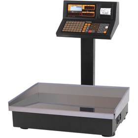 تصویر ترازوی دیجیتال رادین مدل 70 کیلو _ 8800 پلاس Radin 8800 Plus 70 Kg Store Scale