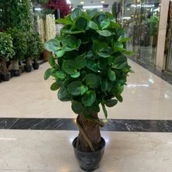 تصویر درختچه بونسای قاشقی مصنوعی 