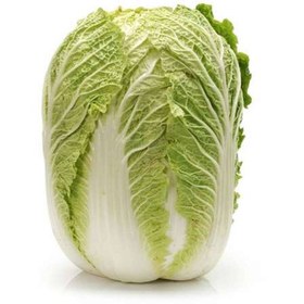 تصویر کاهو چینی 