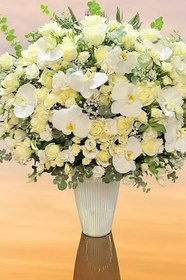 تصویر جام گل بله برون 358 