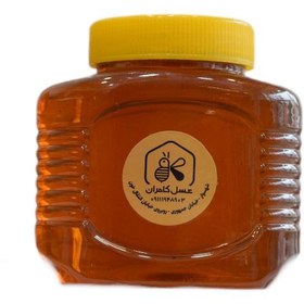 تصویر عسل آویشن - 500 گرم 