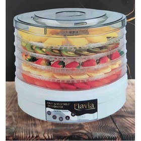 تصویر میوه خشک کن فلاویا 2700 Flavia Fruit & Vegetable Dehydrator FL-2700