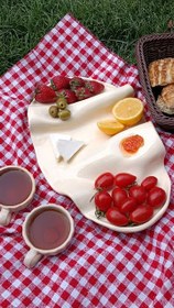 تصویر سینی سرو مزه خوری 