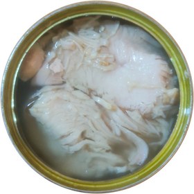 تصویر کنسرو سینه بوقلمون شنگر 180 گرم 