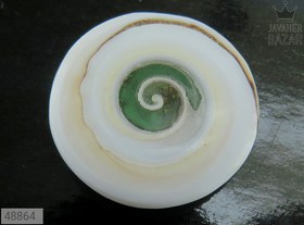 تصویر نگین صدف زیبا کد 48864 