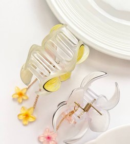 تصویر پلومریا آویزدار کد 1 