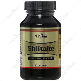 تصویر شیتاکه 