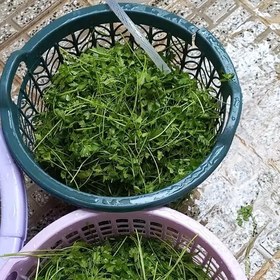 تصویر سبزی خورشتی سرخ شده 