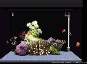 تصویر خرید بازی آکواریوم Aquazone Life Simulator برای XBOX 360 
