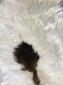 تصویر پوست طبیعی تزیینی بزی ا sheep wool sheep wool