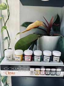 تصویر گواش 6 رنگ وستا 