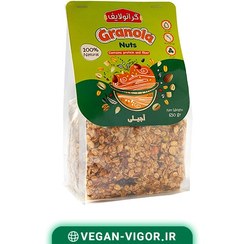 تصویر گرانولا آجیلی | حاوی 7مغز و موز و مویز| 650 گرم 