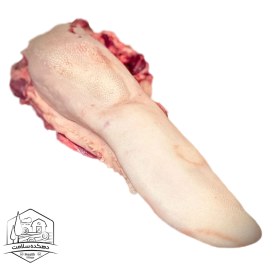 تصویر زبان گوساله 