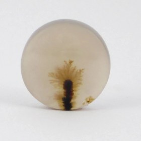 تصویر سنگ شجر کد 2381 