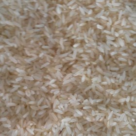 تصویر برنج محلی چمپا 