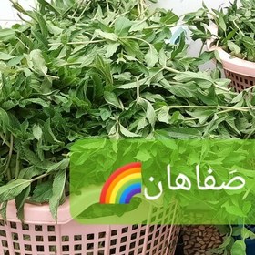 تصویر نعنا خشک یک کیلوگرمی خشک مزه صفاهان 