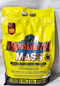 تصویر مس گینر ماموت ۶۸۰۰ گرمی 