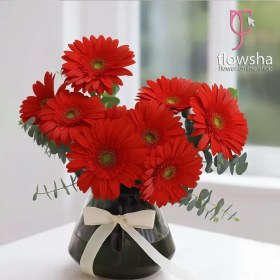 تصویر جار گل ژربرا قرمز نارا 