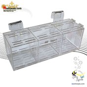 تصویر فیش باکس 3 قرنطینه ماهی و میگو ام اف آکوا MF aqua Breeding Box 3 in 1 medium