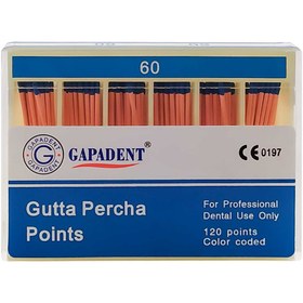 تصویر کن گوتا پرکا Gapa Dent Gapa Dent Gutta Percha Points