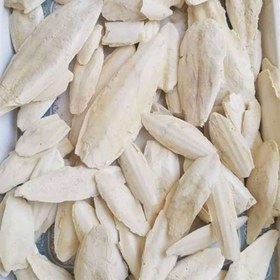 تصویر کف دریا درشت نسابیده 