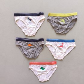 تصویر پک ۵ عددی شورت مکس 