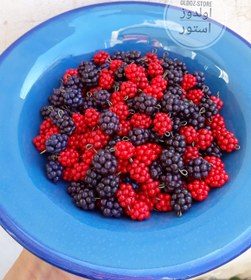 تصویر تمشک خمیری خرجکار یلدایی تمشک قرمز و سیاه 