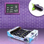 تصویر کارتن بادمجان لمینتی صادراتی طرح بنفش و آبی 