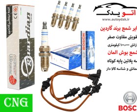 تصویر پک ویژه افزایش شتاب و قدرت 405, پارس, سمند, اریسان 1.8 cng - با شمع دو پلاتین دالف / و وایر شمع تقویتی 