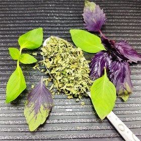 تصویر ریحان خشک 