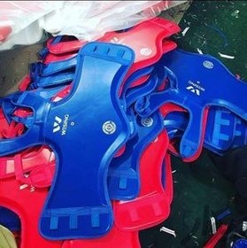 تصویر هوگو ووشو ویسینگ 