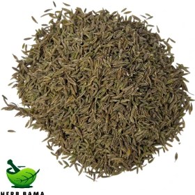 تصویر زیره سبز دان 