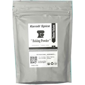 تصویر بیکینگ پودر برند Karoël Spice - 500 گرمی 