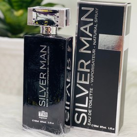 تصویر ادو تویلت مردانه تی آر آی مدل SILLVER MAN حجم 100 میلی لیتر 