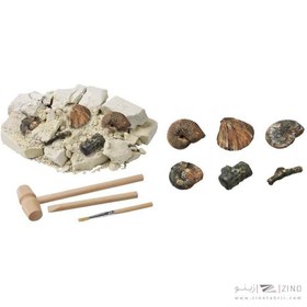 تصویر حفاری فسیل موجودات از مجموعه dig & discover 