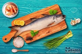 تصویر ماهی راژگو 