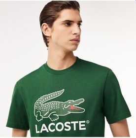 تصویر تی شرت آستین کوتاه مردانه لاکوست lacoste | 820854604