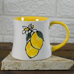 تصویر فروشگاه چاکراوال