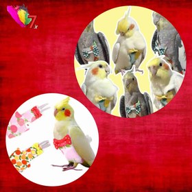 تصویر پوشک عروس هلندی 