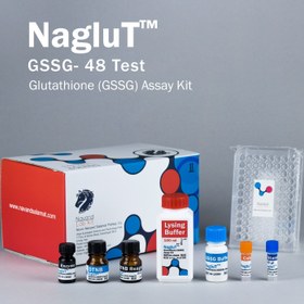 تصویر کیت سنجش گلوتاتیون اکسید شده (GSSG) محصول نوند سلامت Glutathione GSSG Assay Kit 96 tests