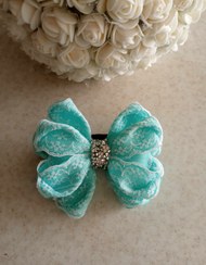 تصویر گلسر گیپوری پفکی 