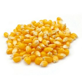 تصویر دانه ذرت خام - 250 گرم 