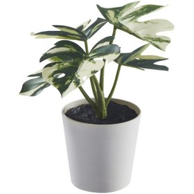 تصویر گلدان مصنوعی ایکیا مدل FEJKA 